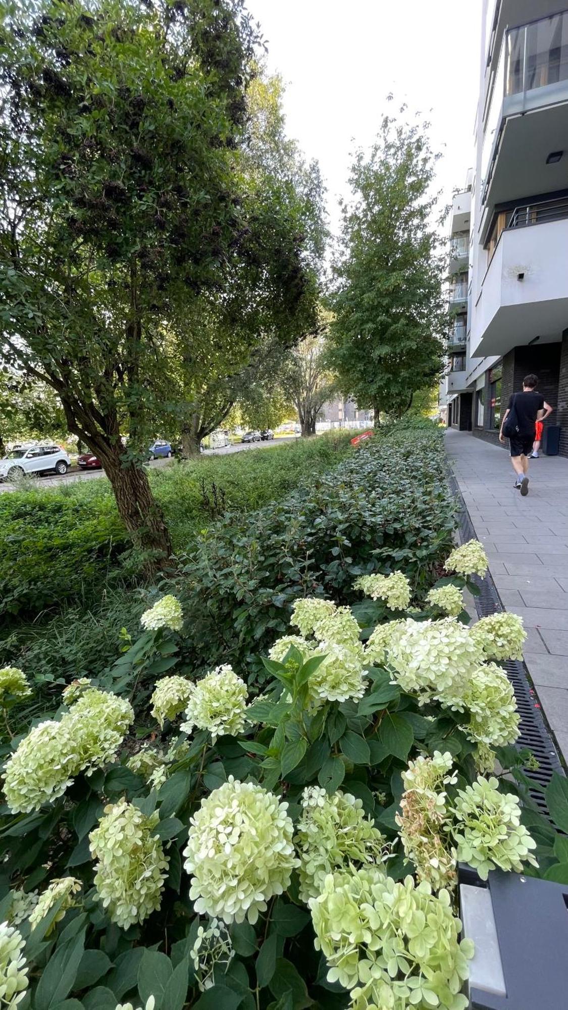 Apartamenty Warszawa Centrum Wlodarzewska 30 Exteriör bild